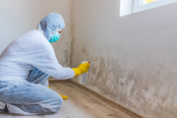 Licensed Bathroom Mold Removal service in Clifton, AZ - WQB Mold Removal