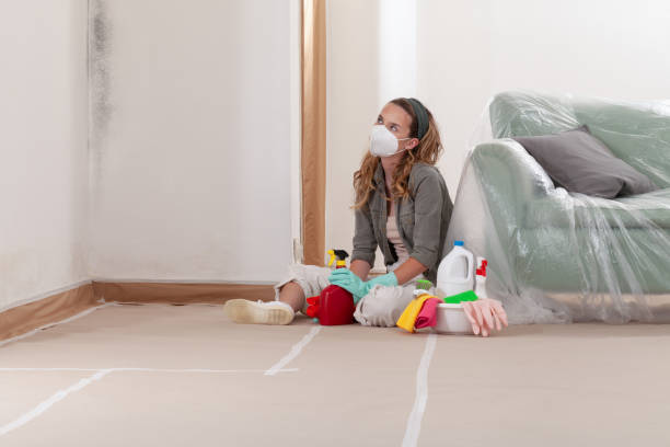 Reliable Bathroom Mold Removal contractor in Clifton, AZ by WQB Mold Removal
